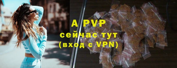 спиды Пестово