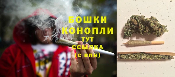 спиды Пестово