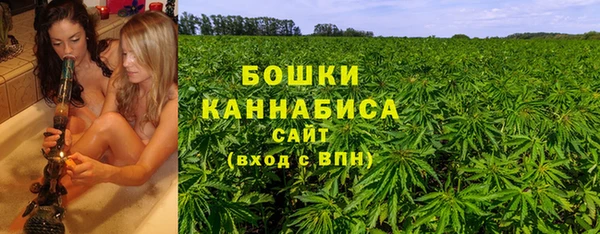 спиды Пестово