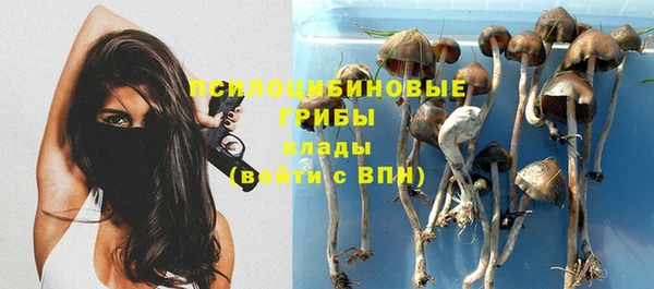 спиды Пестово