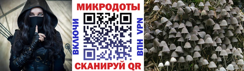 Галлюциногенные грибы прущие грибы  Колпашево 
